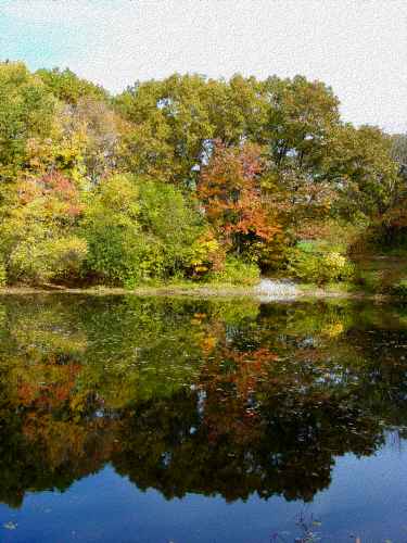 Centennial Pond