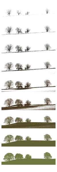 Scottish Landscape